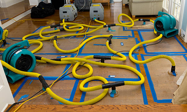 Professional Sewage Cleanup technician working in Rush Hill, MO